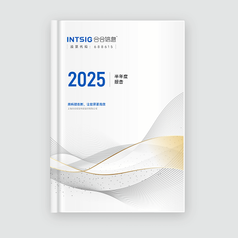 2025 半年度报告